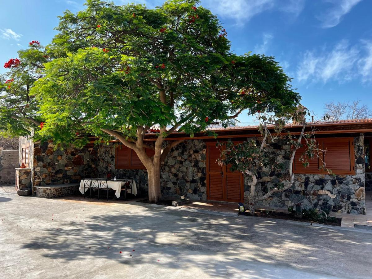 Casa Rural La Limera Con Piscina Privada Santa Lucia De Tirajana Экстерьер фото