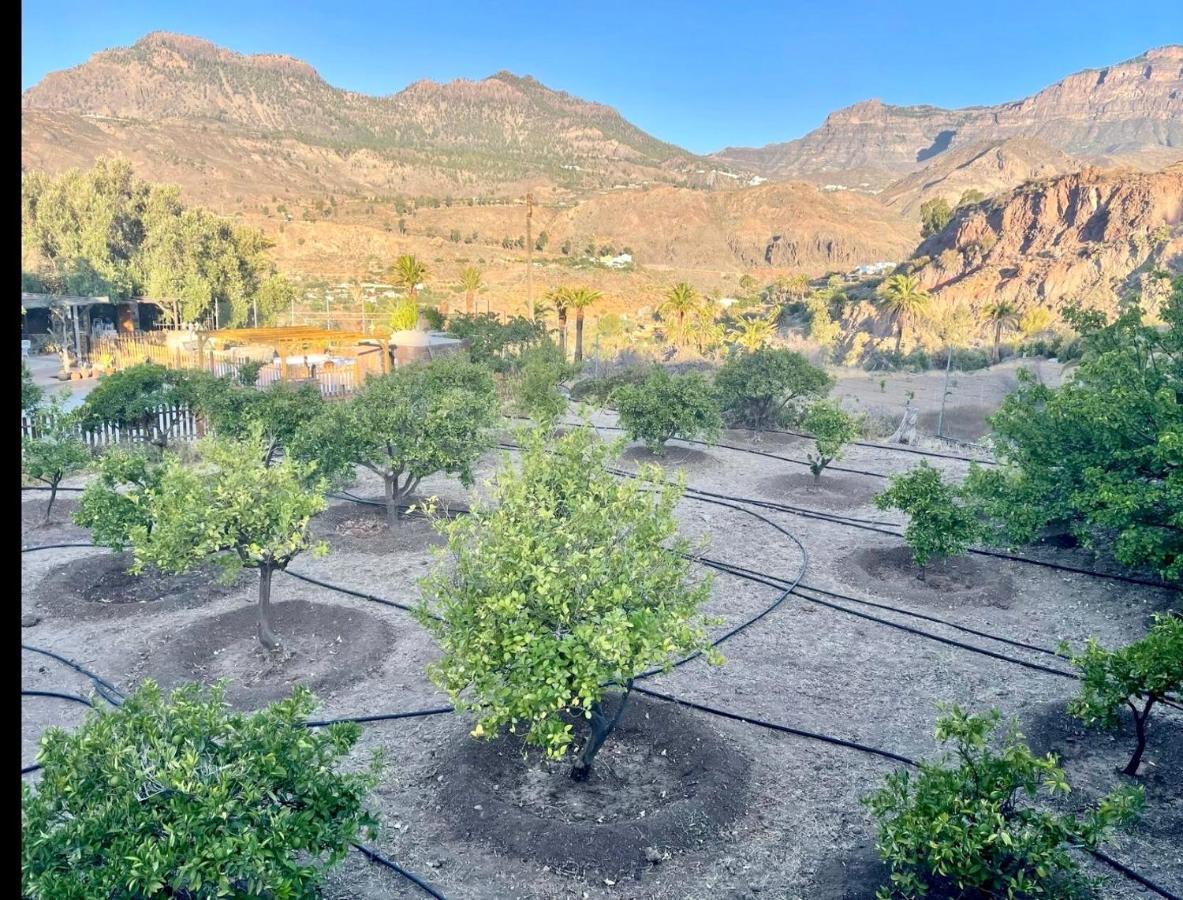 Casa Rural La Limera Con Piscina Privada Santa Lucia De Tirajana Экстерьер фото