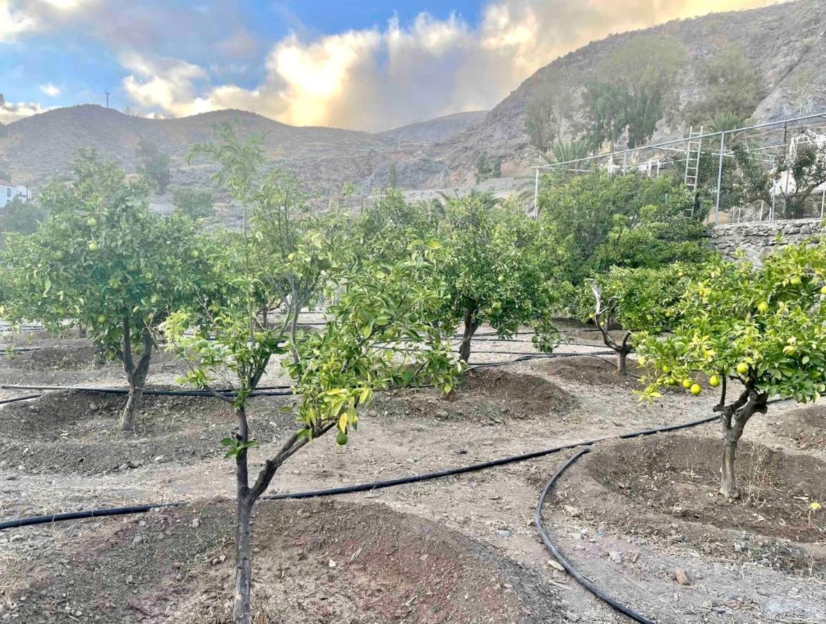 Casa Rural La Limera Con Piscina Privada Santa Lucia De Tirajana Экстерьер фото
