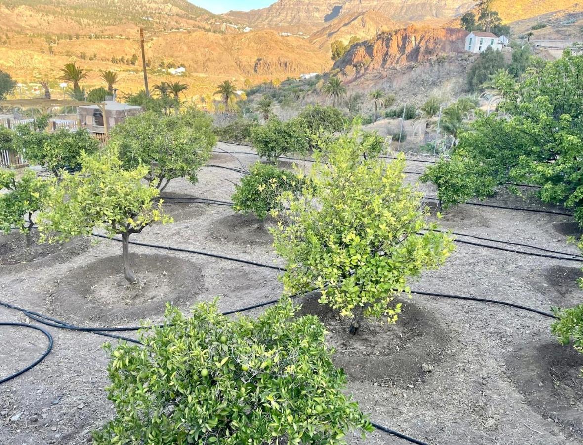 Casa Rural La Limera Con Piscina Privada Santa Lucia De Tirajana Экстерьер фото